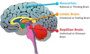 Reptilian Coping Brain